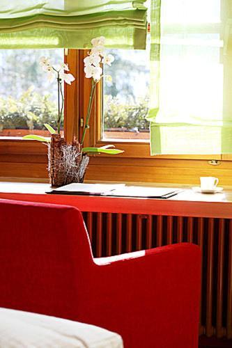 Hotel-Restaurant Adler 라어 객실 사진